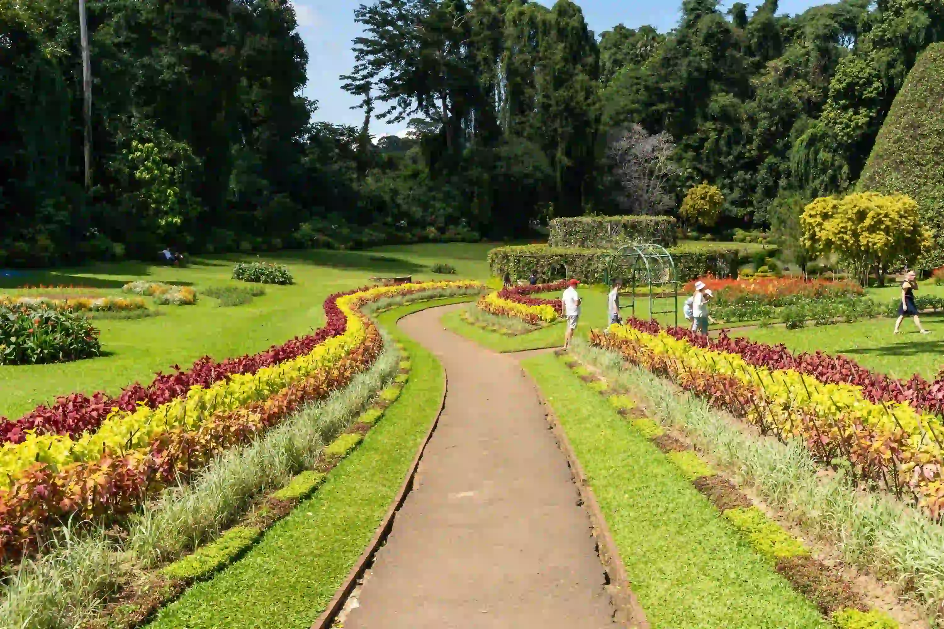 Kandy image 3