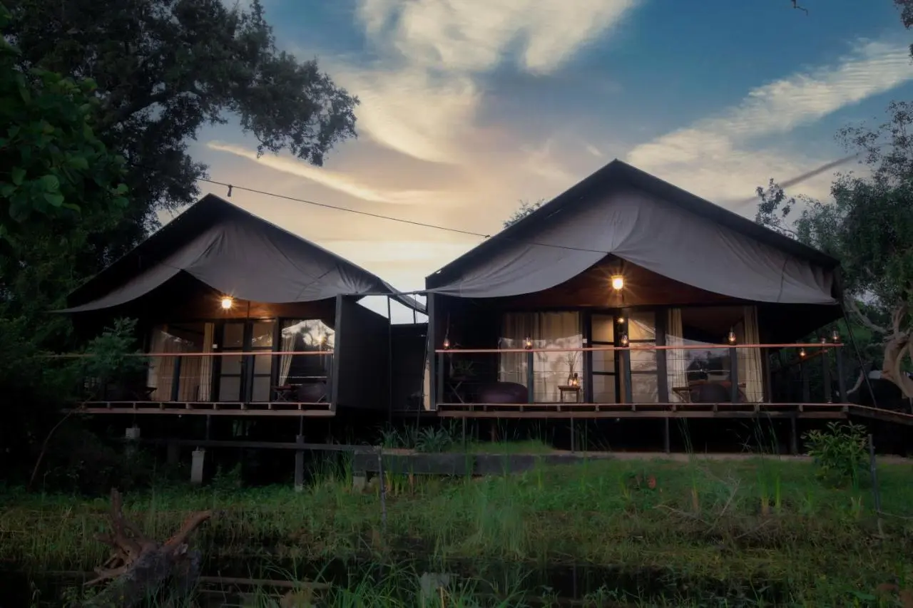 Yala National Park national park image 2