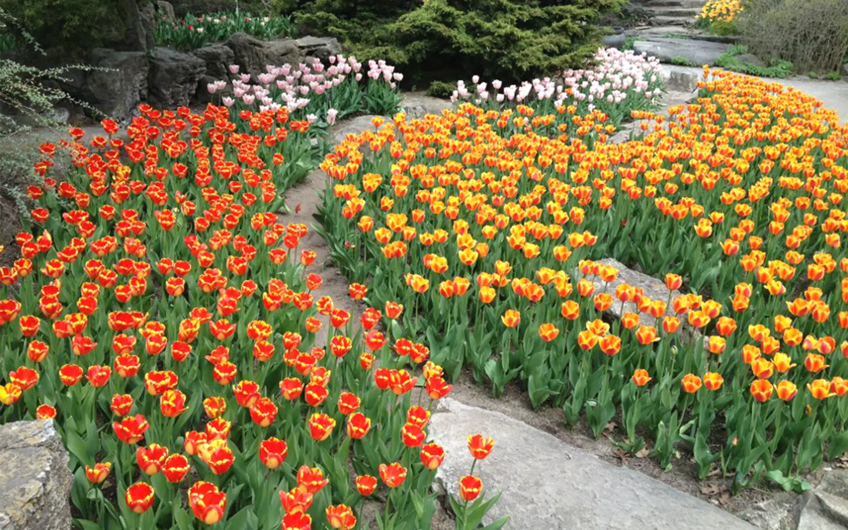 Hakgala Botanic Gardens Nuwara Eliya