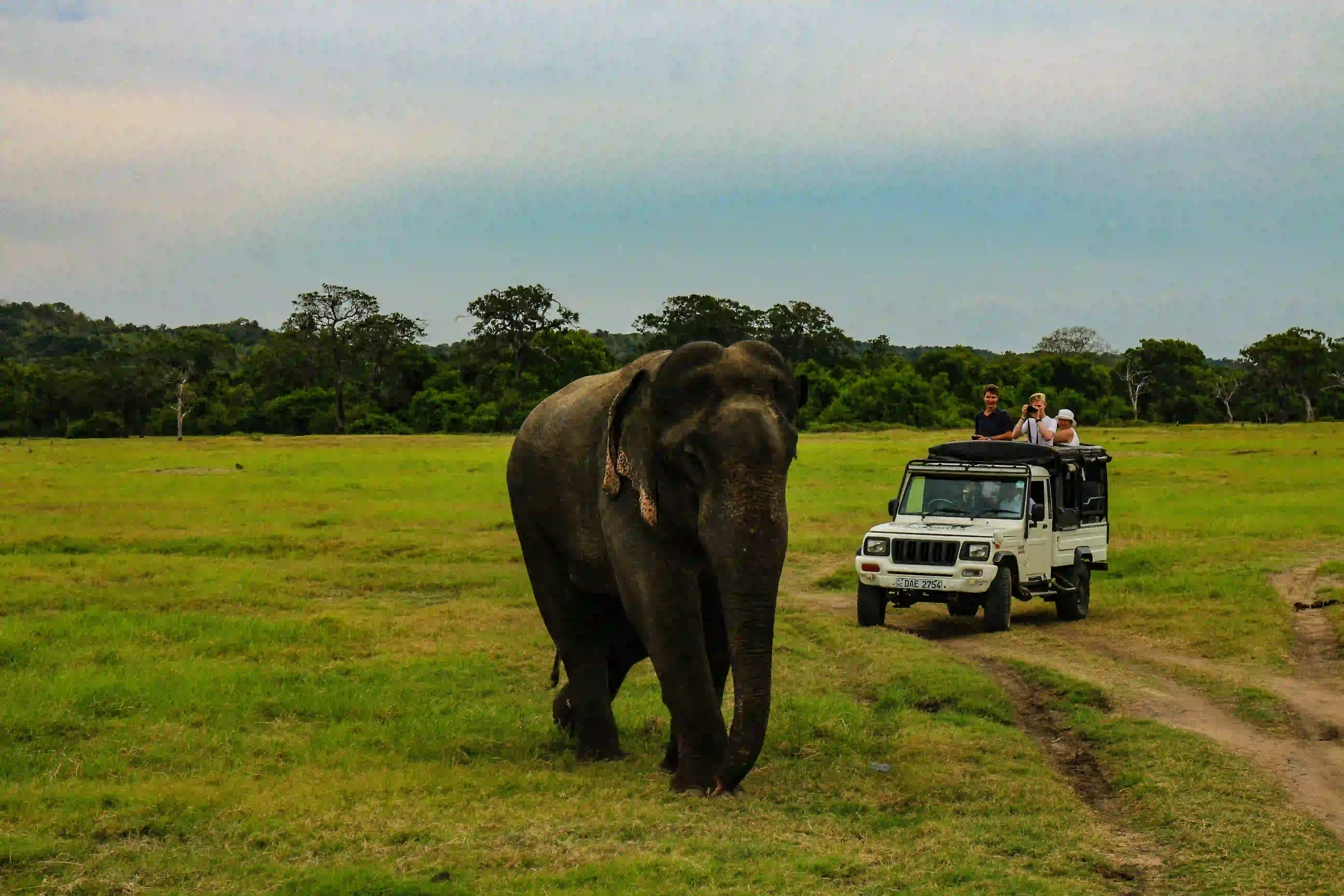 Yala National Park / Turtle Hatchery / Galle Port