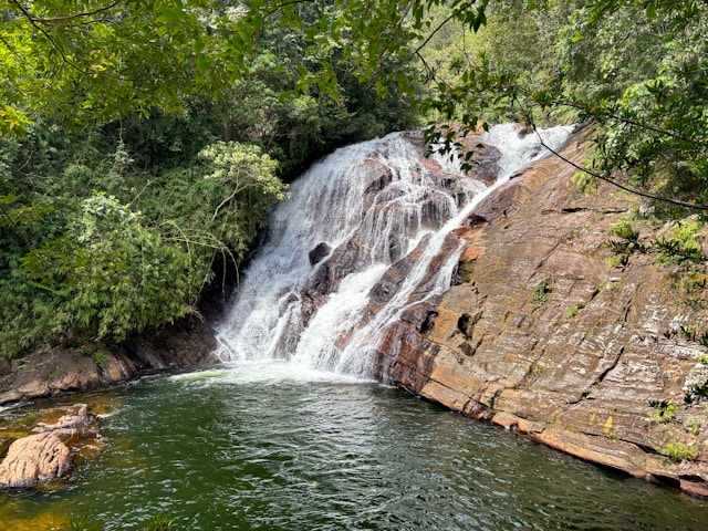 Gem Mine / Sinharaja Rain Forest